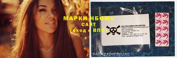 ECSTASY Алзамай
