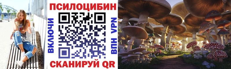 цена Биробиджан Псилоцибиновые грибы GOLDEN TEACHER